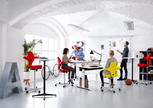 Ergonomische capisco
