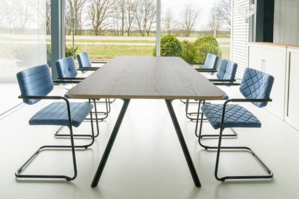 Huislijn Alfa Stoel Sledeframe - Afbeelding 3
