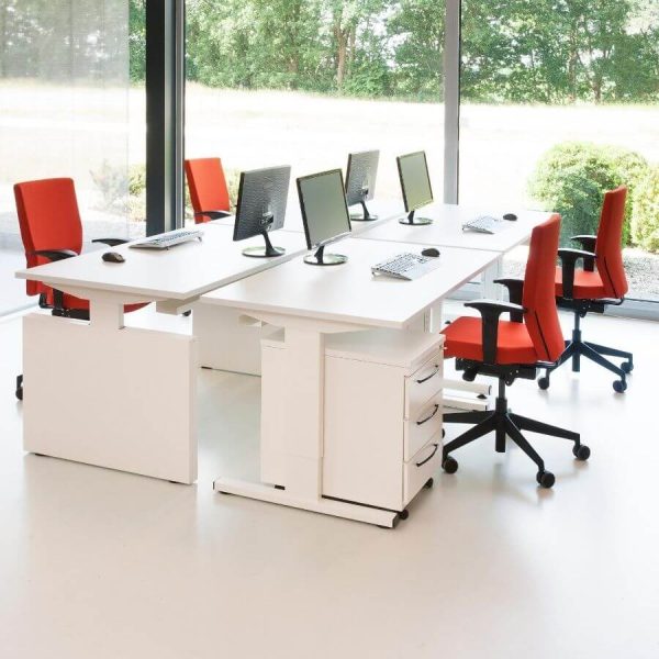 Huislijn Basic Bureau Recht - Afbeelding 3
