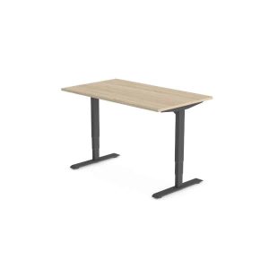 Huislijn FlexFrame Bureau Recht (elektrisch)